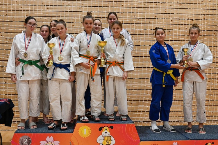 FOTO Judo klub Kokica briljirao na županijskom prvenstvu