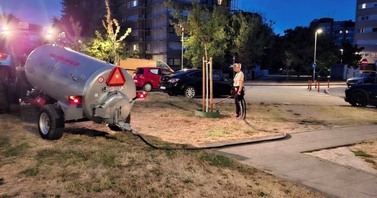 VG Komunalac u akciji za spas zelenila: „Borba za svako stablo ne prestaje ni noću“