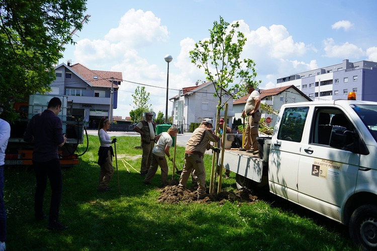 ['edukacija', 'ekološke koristi stabala', 'klimatske promjene', 'pou vg', 'urbani ekosustav']