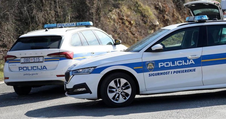 ['disciplinski postupak', 'prometna nesreća', 'policija']