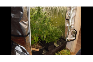 ['Velika Gorica', 'policijska akcija', 'uzgoj konoplje', 'marihuana', 'kaznena prijava', 'pritvorski nadzornik', 'kriminalističko istraživanje', 'zapljena droge', 'improvizirani laboratorij', 'preprodaja droge']