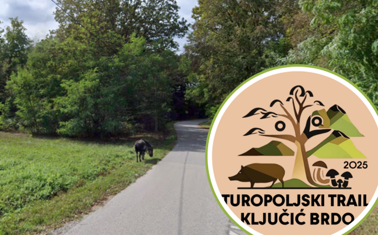 ['atletski klub turopolje', 'turopoljski trailključić brdo']