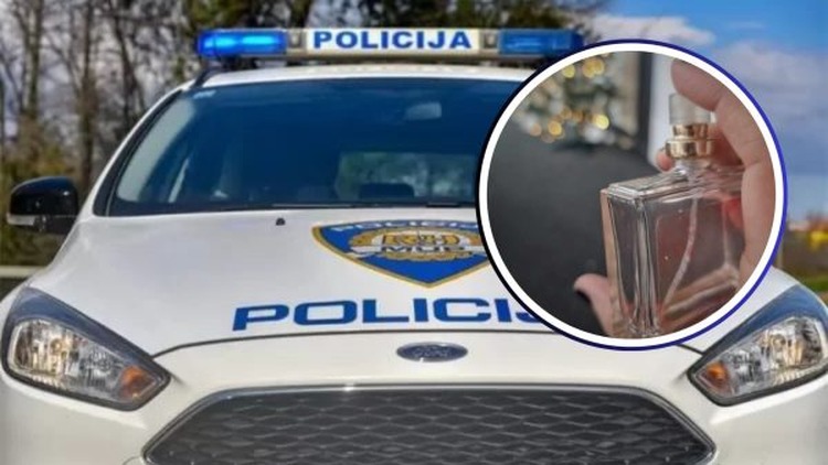 ['Krađa', 'Policijska postaja Velika Gorica', 'razbojništvo']
