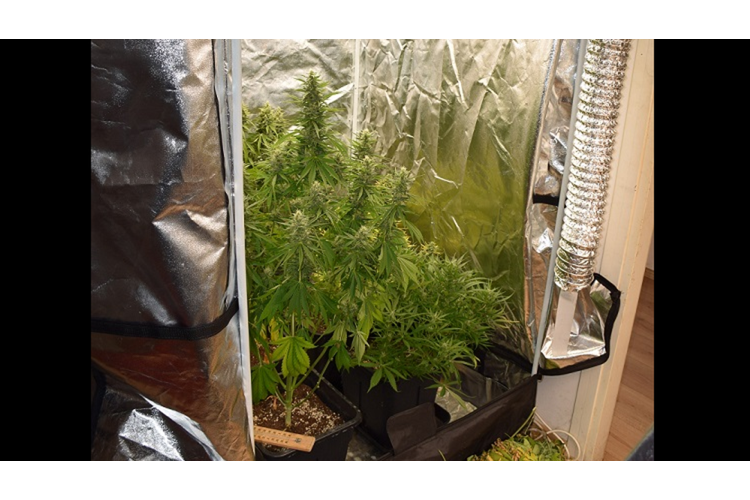 ['MUP', 'Velika Gorica', 'marihuana', 'laboratoriji']
