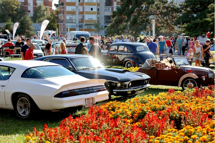 ['old timer show']