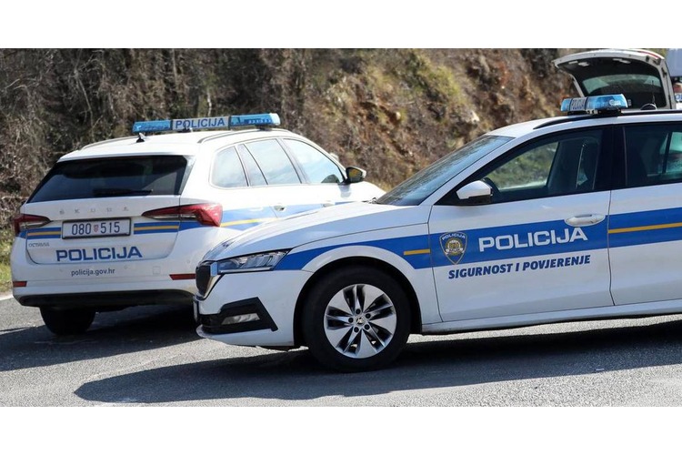 ['disciplinski postupak', 'prometna nesreća', 'policija']