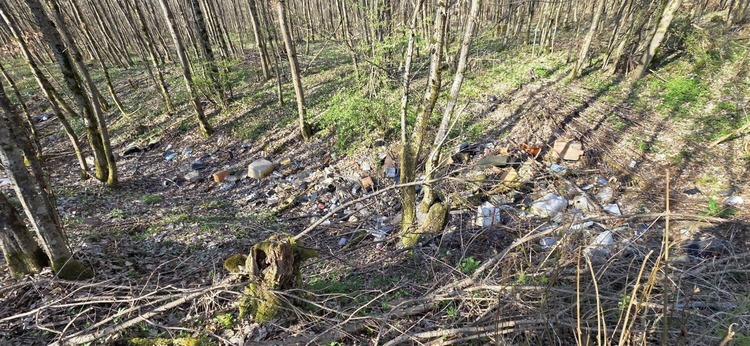 Velika akcija čišćenja šuma u Gudcima: Poziv volonterima da se priključe