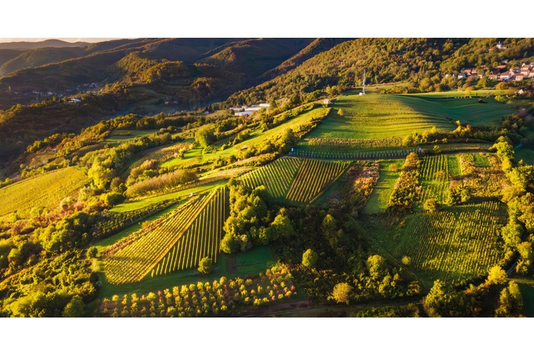 ['Zagrebačka županija', 'regenerativni turizam', 'živa baština', 'lokalna gastronomija', 'vinske ceste', 'ruralni doživljaji', 'održivi razvoj', 'otpornost zajednice', 'sporiji tempo putovanja']