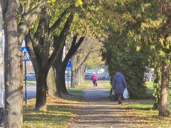 ['pravno savjetovanje', 'psihološko savjetovanje']