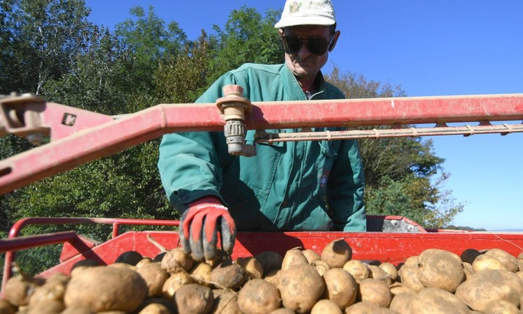 Poljoprivrednici, pozor – dvije važne novosti za OPG-ove!