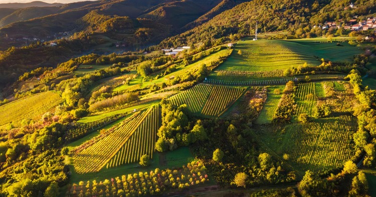 ['Zagrebačka županija', 'regenerativni turizam', 'živa baština', 'lokalna gastronomija', 'vinske ceste', 'ruralni doživljaji', 'održivi razvoj', 'otpornost zajednice', 'sporiji tempo putovanja']