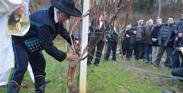 ['događanja', 'siječanj', 'turistička zajednica grada veliek gorica']