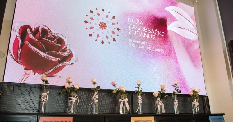 Dodijeljene Ruže Zagrebačke županije za 2026., među dobitnicima mnoga poznata lica zagrebačkoga kraja