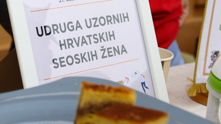 ['udruge', 'zagrebačka županija', 'zgž']