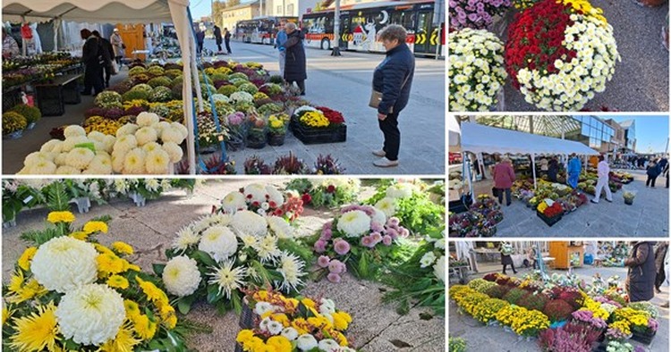 Krizanteme, multiflore, maćuhice... Bogata ponuda cvjetnih aranžmana uoči Svih svetih čeka vas kod Tržnog centra