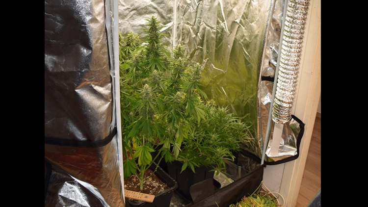 ['MUP', 'Velika Gorica', 'marihuana', 'laboratoriji']