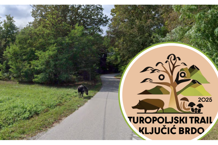 ['atletski klub turopolje', 'turopoljski trailključić brdo']