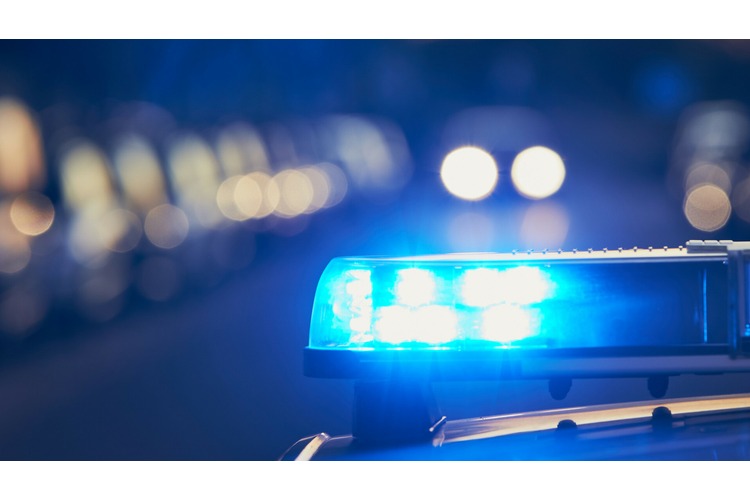 ['Velika Gorica', 'policija']