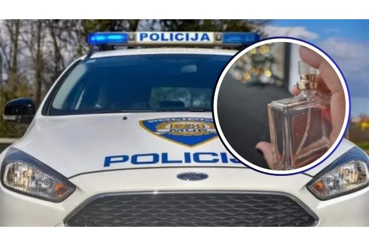 ['Krađa', 'Policijska postaja Velika Gorica', 'razbojništvo']