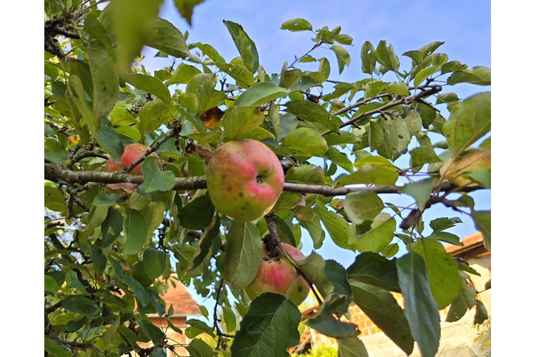 ['poljoprivreda', 'prijava štee', 'prirodna nepogoda', 'suša', 'zagrebačka županija']