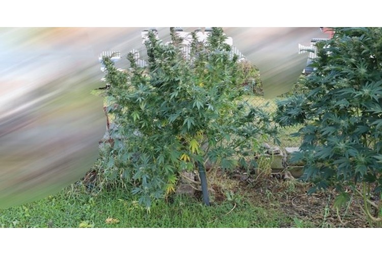 []