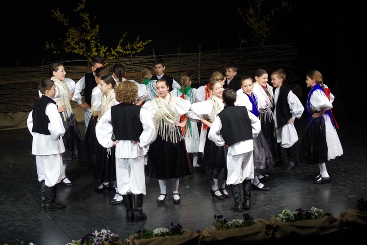 23. ožujka 2014. održana je Smotra dječjeg folklora. Na YouTube kanalu FA Šiljakovina možete pogledati sve nastupe.