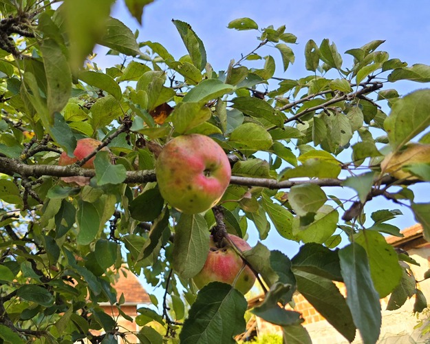 ['poljoprivreda', 'prijava štee', 'prirodna nepogoda', 'suša', 'zagrebačka županija']