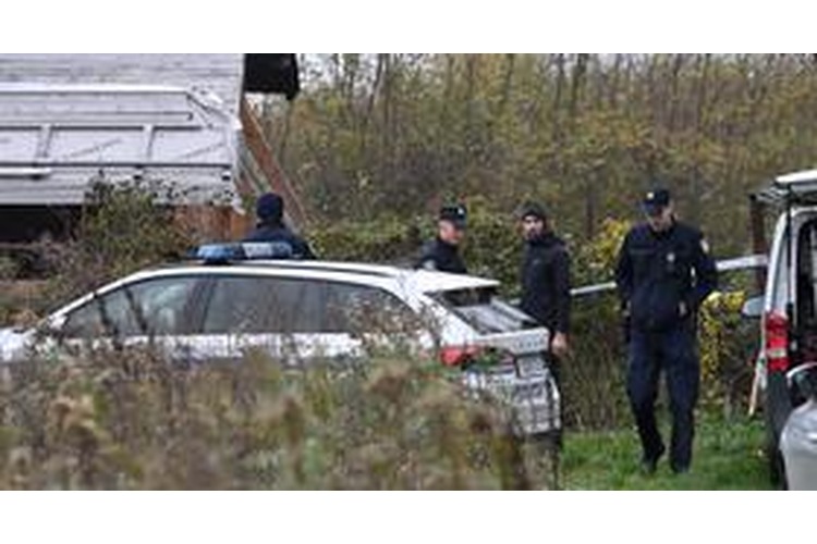 ['sjekira', 'ubojstvo', 'velika gorica']