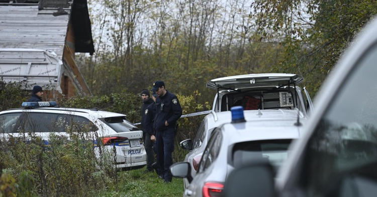 Sjekirom ubila dečka na spavanju kod V. Gorice pa nazvala policiju: ‘Žao mi je, inače ne bih ni mrava zgazila‘