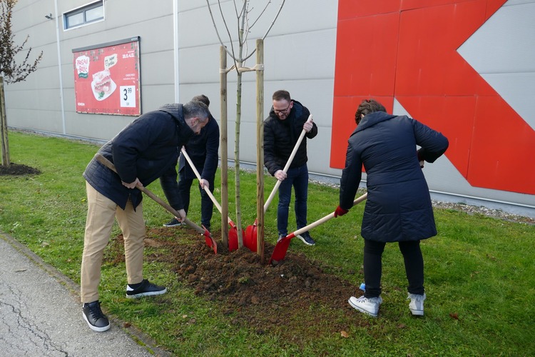 ['akcija čišćenja', 'pošumljavanje', 'projekt Od izvora do mora', 'sadnja stabala']