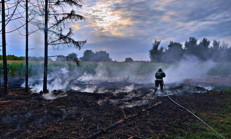 Na snagu stupila zabrana paljenja vatre na otvorenom! Kazne nisu za zanemariti… Donosimo sve detalje