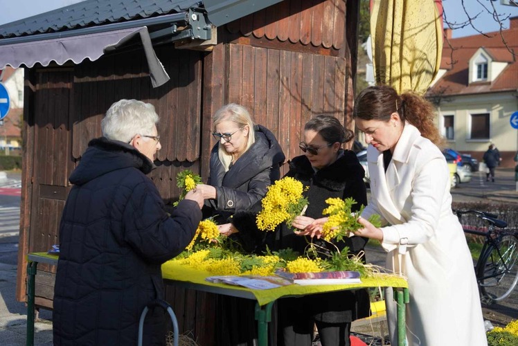 ['dan borbe protiv raka vrata maternice', 'dan mimoza', 'gradonačelnik ačkar', 'javnozdravstvena akcija']