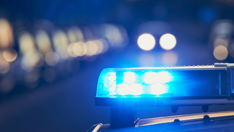 ['Velika Gorica', 'policija']