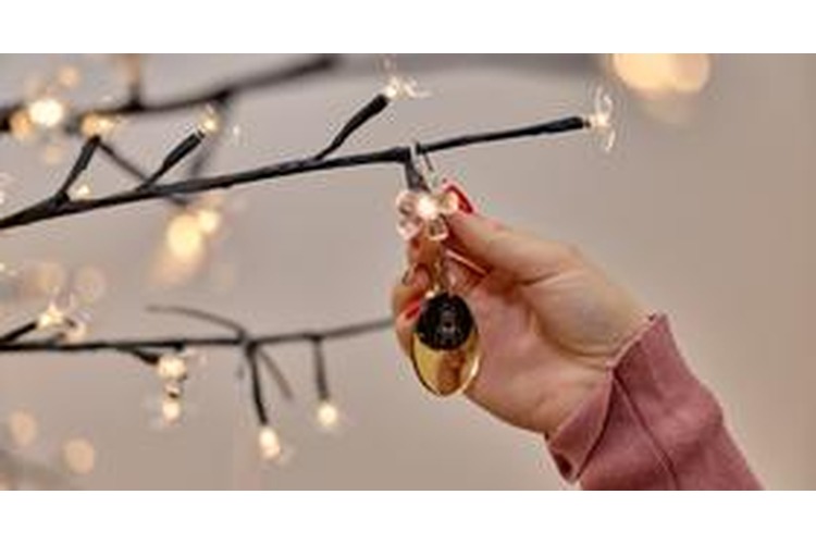 ['tz zagrebačke županije', 'zagreb']