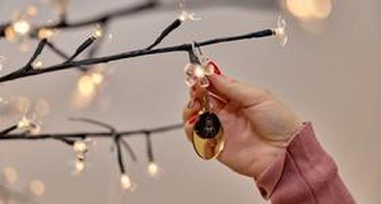 ['tz zagrebačke županije', 'zagreb']