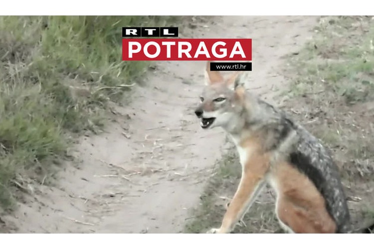 ['potraga', 'rtl', 'emisija', 'televizija', 'istraživački magazin']