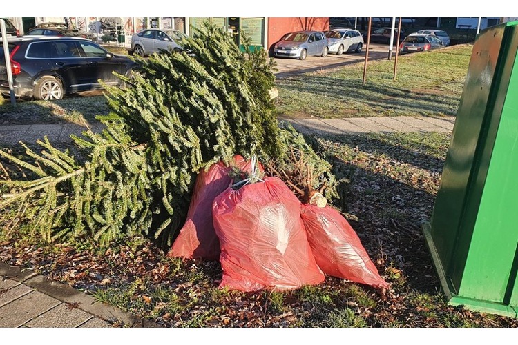 ['božićno drvce', 'hotnews', 'jelka', 'kompostiranje', 'odlaganje božićnih drvaca', 'VG ČISTOĆA']