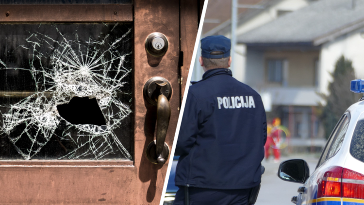 ['Krađa', 'Policijska postaja Velika Gorica', 'pp vg', 'provala']