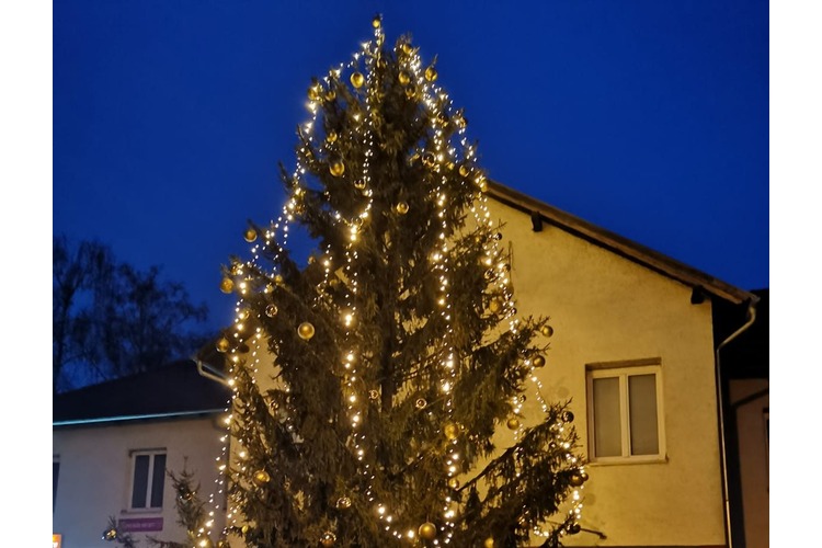 ['advent kuče', 'posjet djeda božićnjaka']