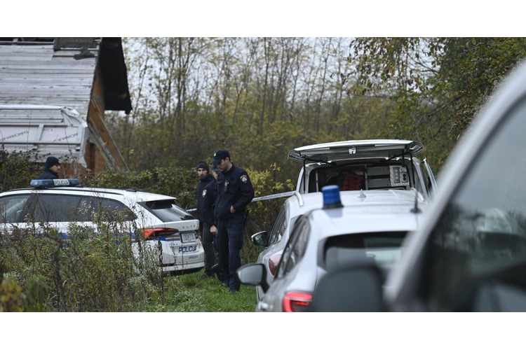 ['teško ubojstvo', 'županijski sud u velikoj gorici', 'prisilno liječenje', 'neubrojiva', 'paranoidna shizofrenija', 'sjekira', 'policija', 'Selnica Šćitarjevska', 'Velika Gorica', 'Sudska odluka', 'kazneno djelo', 'Zatvorska bolnica Zagreb', 'psihijatrijsko vještačenje', 'obit']