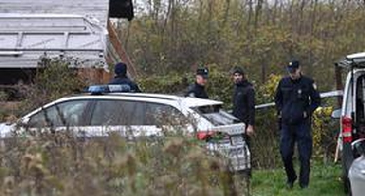 ['sjekira', 'ubojstvo', 'velika gorica']