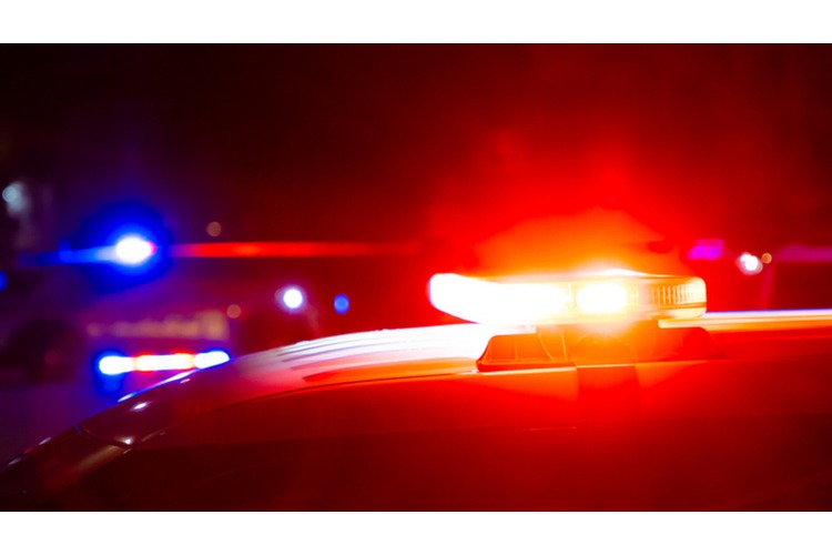 ['Austrijanac', 'Velika Gorica', 'diplomatsko vozilo']