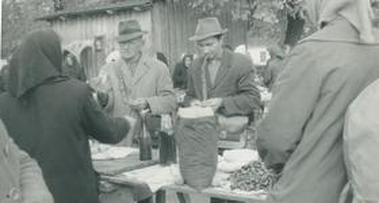 ['darko bekić', 'lana krunić lukinić', 'krešimir ačkar', 'grad', 'velika gorica']