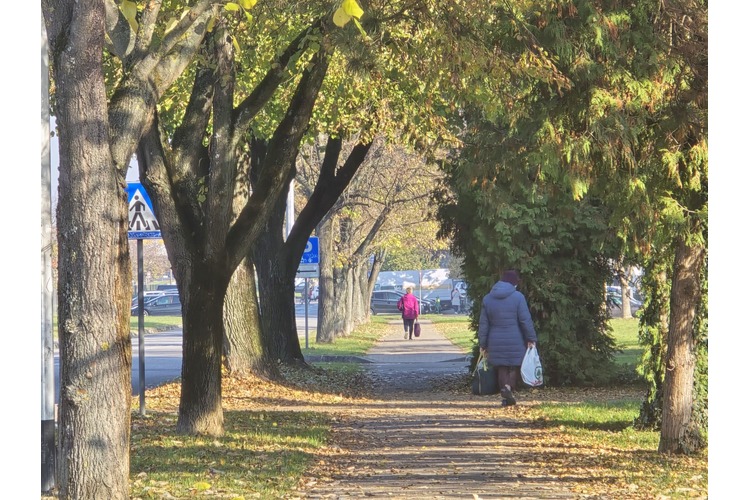 ['pravno savjetovanje', 'psihološko savjetovanje']