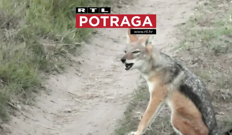 ['potraga', 'rtl', 'emisija', 'televizija', 'istraživački magazin']