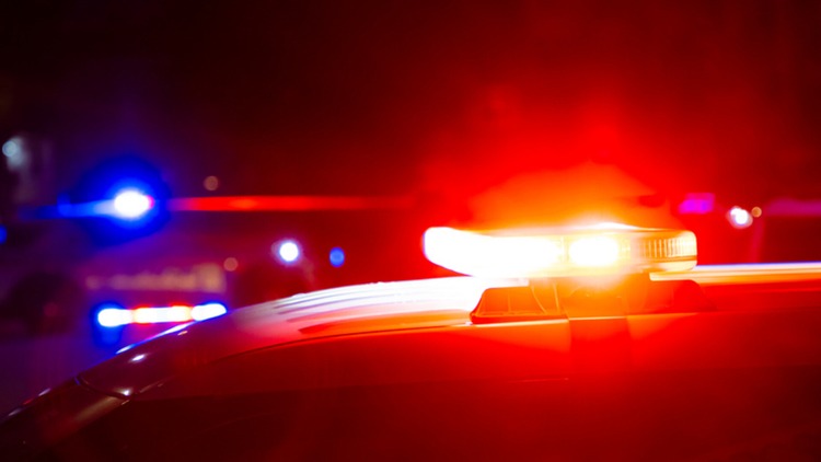 ['Austrijanac', 'Velika Gorica', 'diplomatsko vozilo']