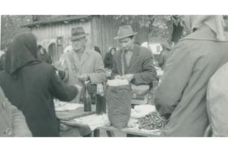 ['darko bekić', 'lana krunić lukinić', 'krešimir ačkar', 'grad', 'velika gorica']