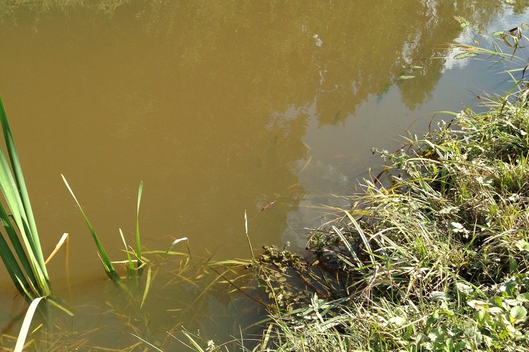 Poslovni dnevnik piše o projektu Zagreb na Savi koji predviđa rekonstrukciju kanala Sava-Odra i njegovu plovnost do Velike Gorice.