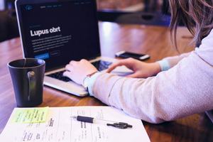 Vaše ideje, naš kod: Lupus obrt izrađuje web stranice prilagođene vašem poslovanju